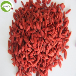 Factory Supply New Harvest Dried Goji Berries