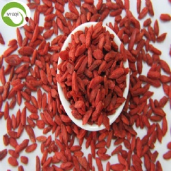 Factory Supply Dried Natural Goji Berry