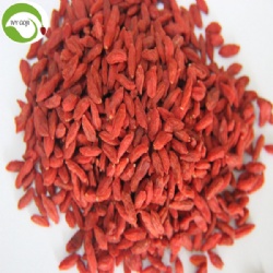 Factory Supply Dried Red Goji Berry