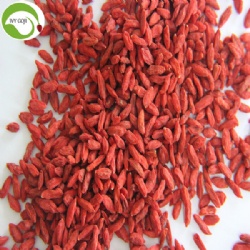 Factory Supply Dry Fruit Anti Cancer Goji Berry