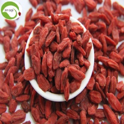 Factory Supply Healthy Dried Natural Goji