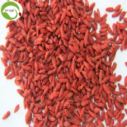 Factory Supply Healthy Dry Fruit Super Food Goji