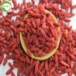 Factory Supply Healthy Super Food Anti Tumor Goji