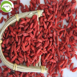 Factory Wholesale Dried Natural Wolfberry