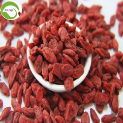 Factory Wholesale Dried Red Dried Wolfberry