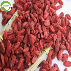 Factory Wholesale Super Food Dried Red Wolfberry