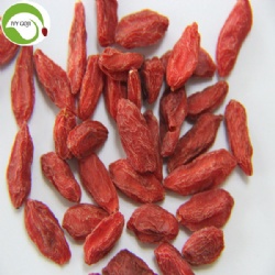 Wholesale Dried Low Pesticide Goji Berry